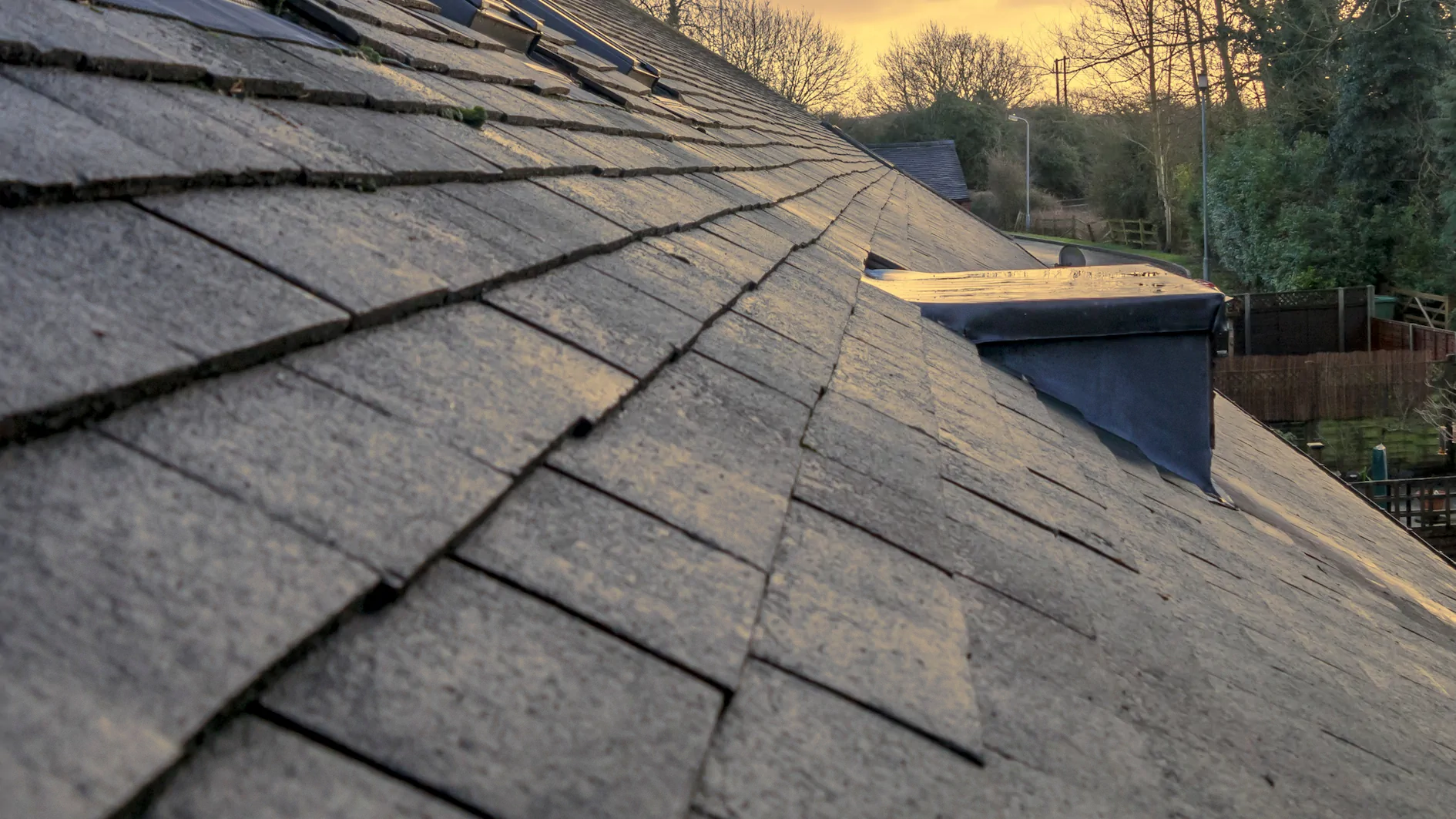 Roof Moss Removal